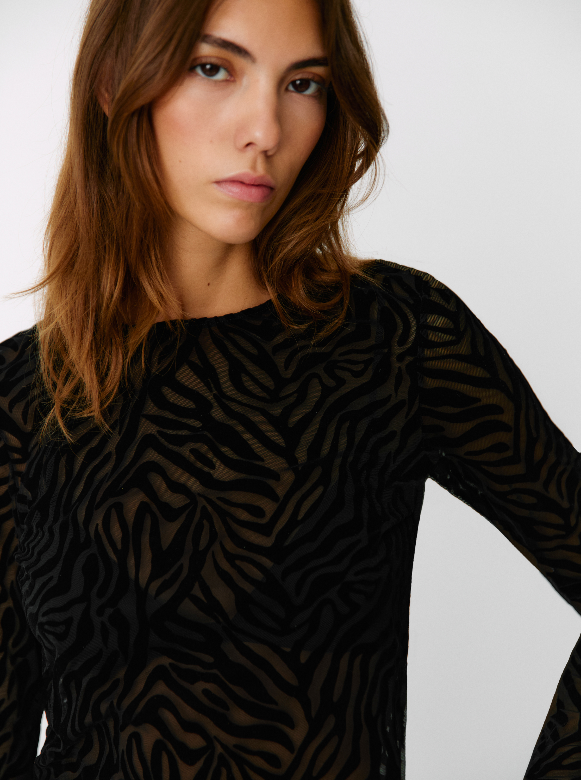 Top Velvet Zebra Transparent