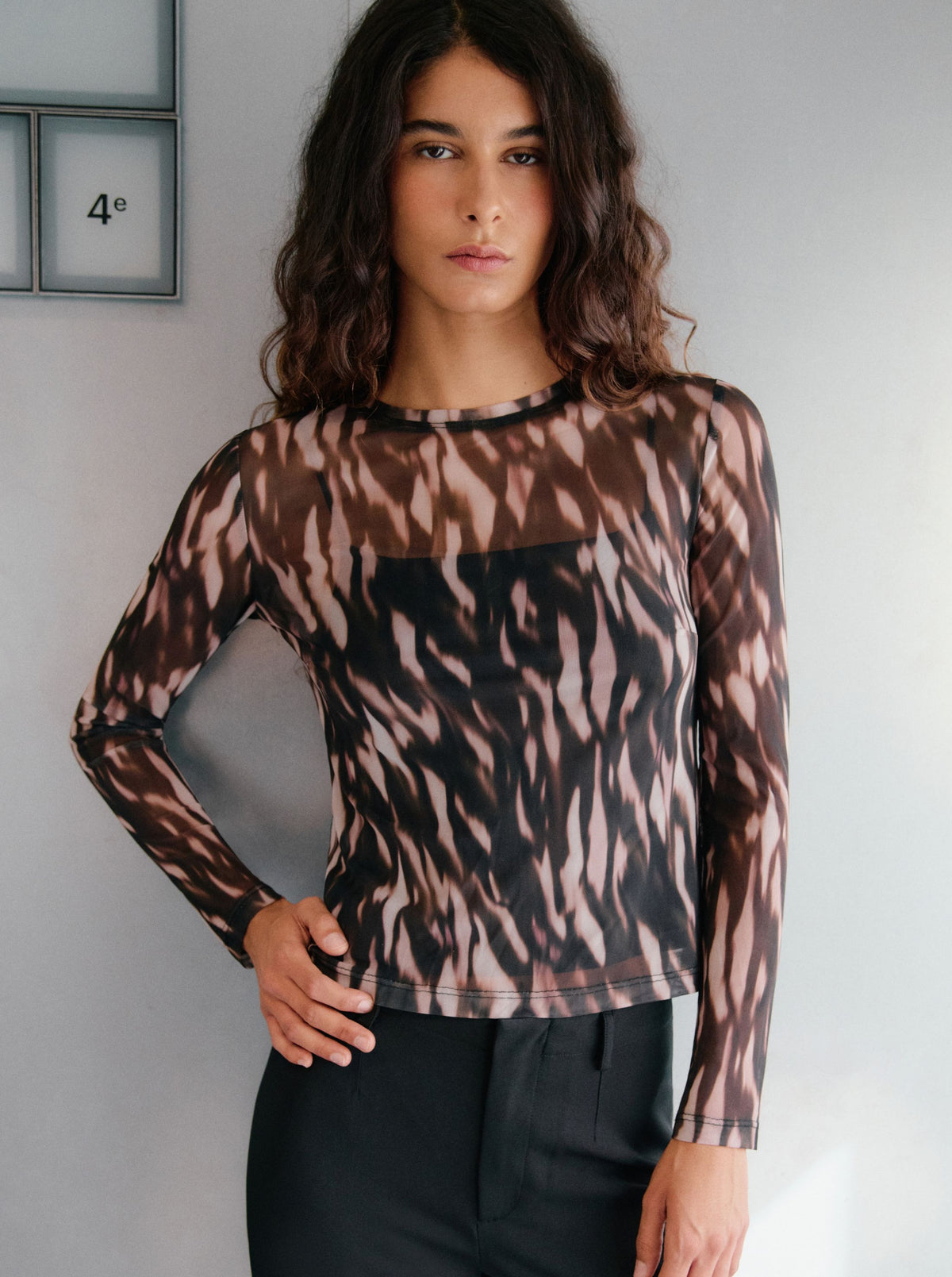 Top Abstract Mesh